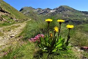 21 Rientrato alla Terzazza Salomon salgo lungo il segnavia 204 verso il Lago Moro